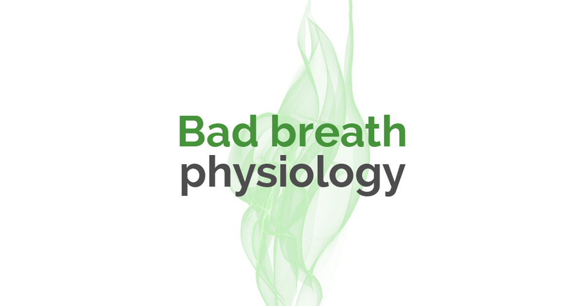 Bad Breath Physiology