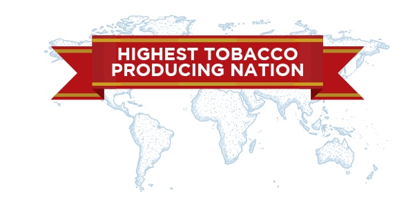 Highest Tobacco producing countries in the world